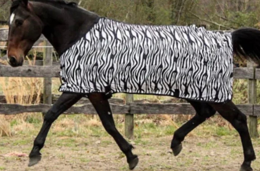 Zebra Fly Sheet