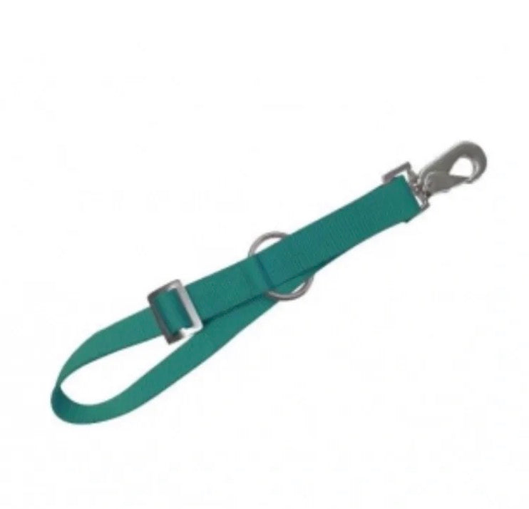 Teal Bucket Strap