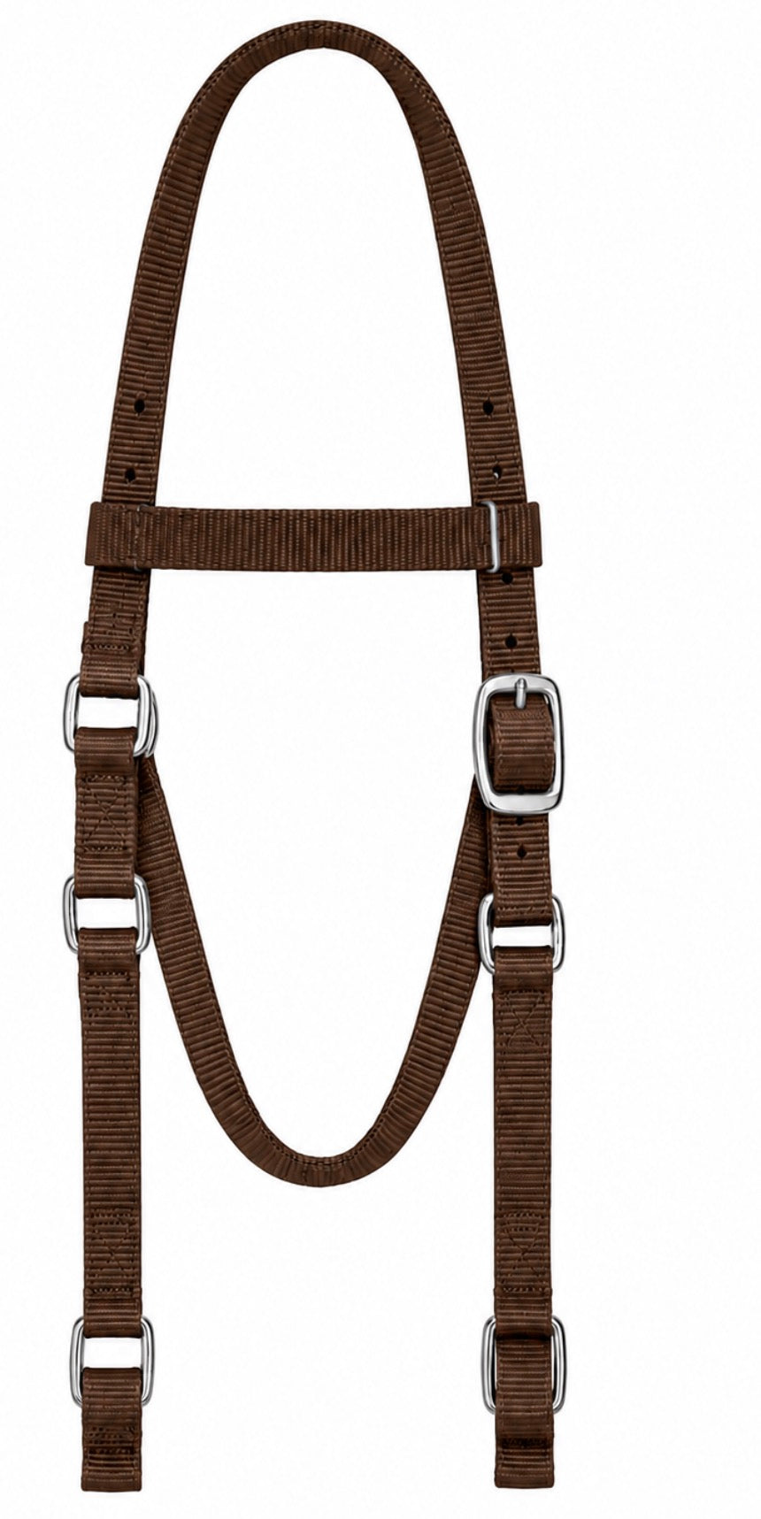 Brown horse headstall