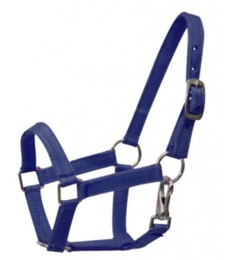 Pony Navy Halter