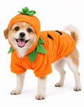 Dog Costume