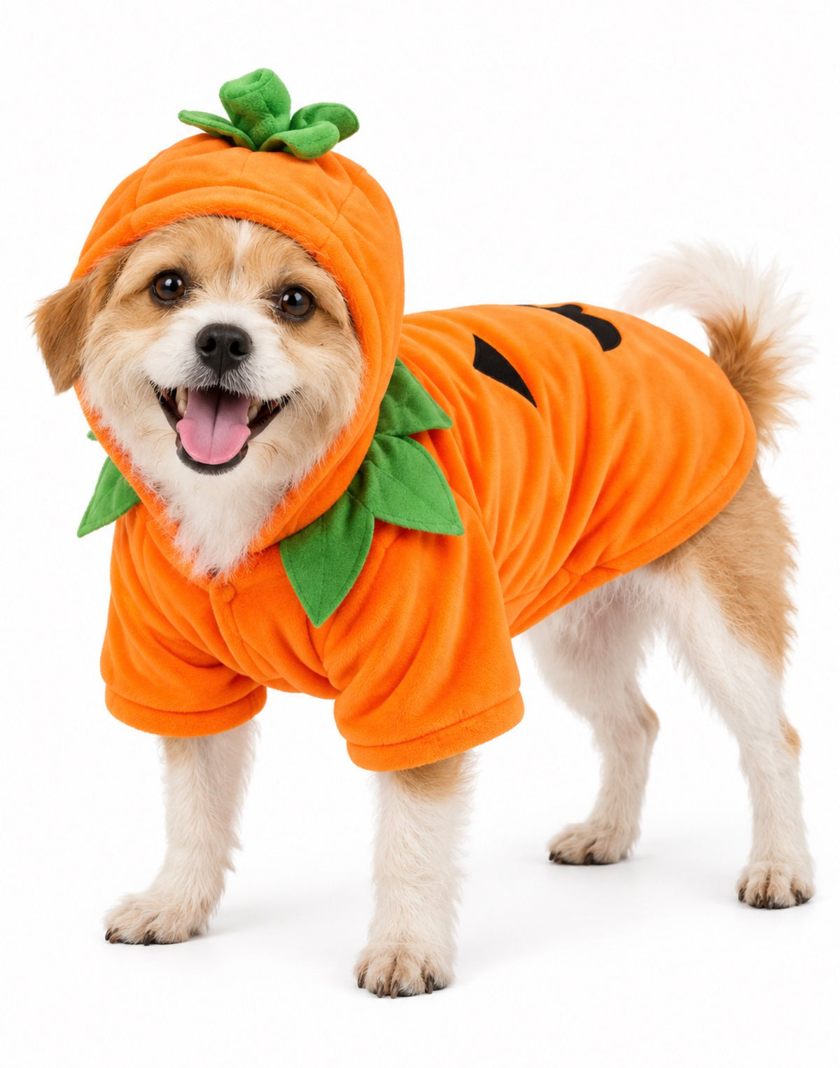 Dog Costume