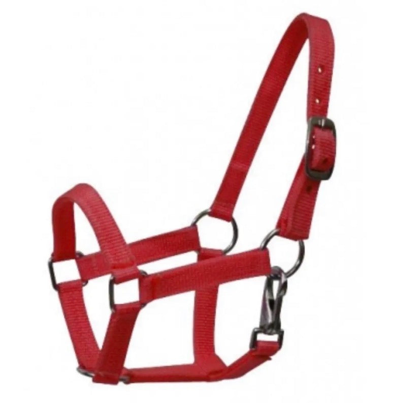 Horse Red Halter