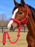 Red Mustang Yearling Halter W Lead