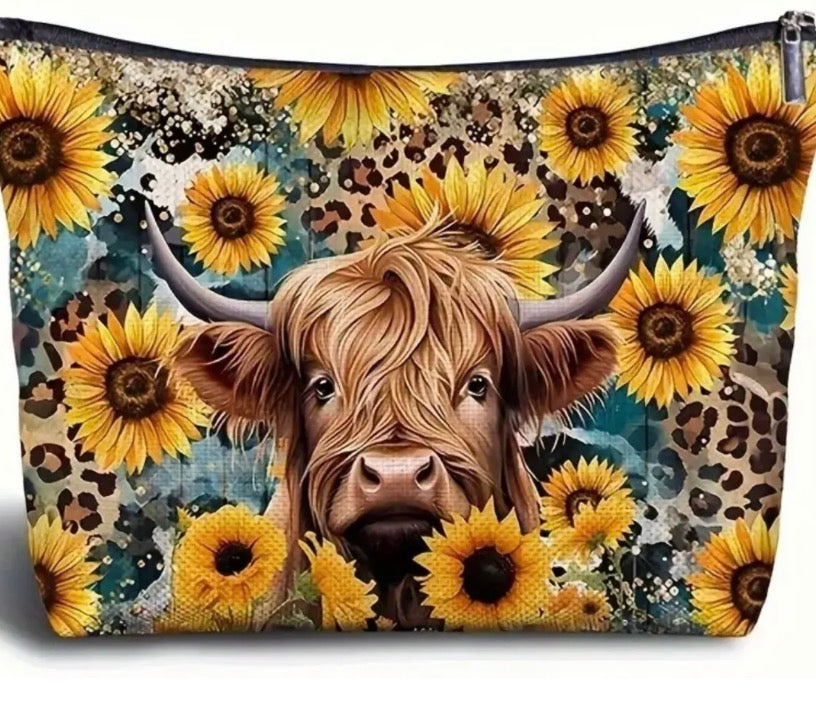 Highland Cow