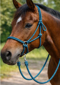 Teal Bitless Bridle W Reins
