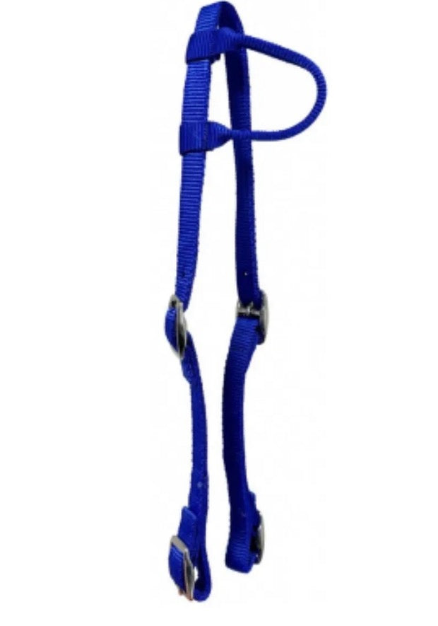 Blue Pony Headstall