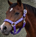Purple Rhombus Breakaway Halter XL