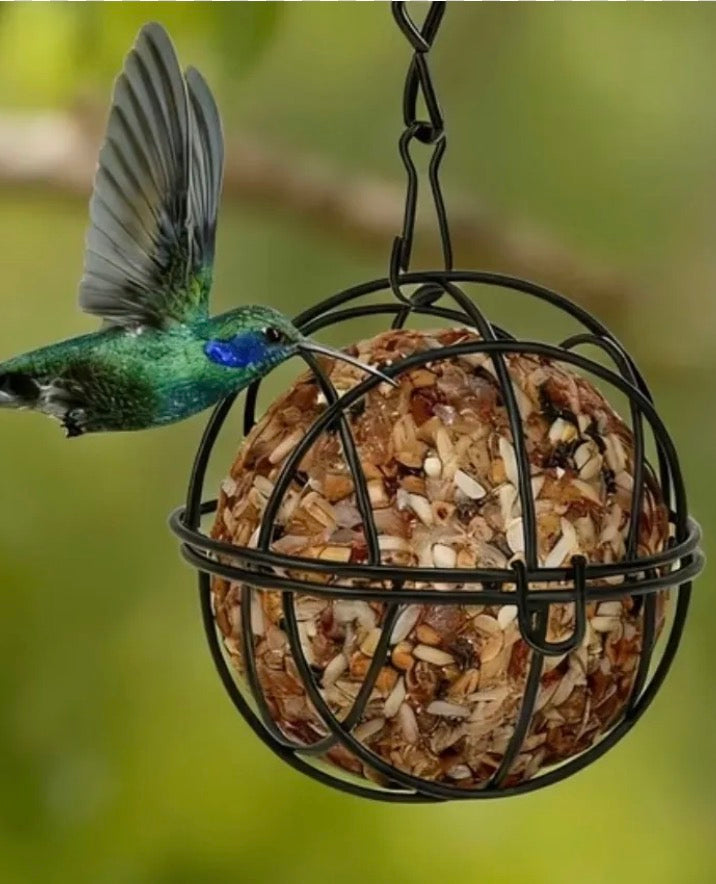 Hanging Bird Feeder