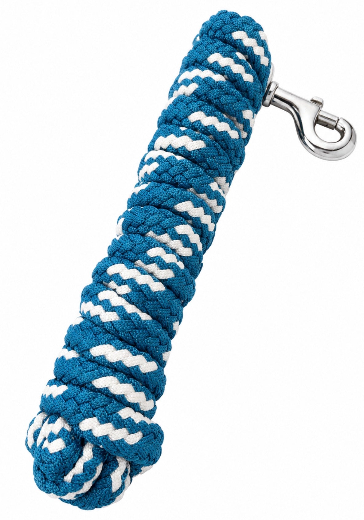 10 foot blue/white lead rope