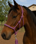 Red/blue rope halter W lead