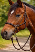 Brown Bitless Bridle With Reins