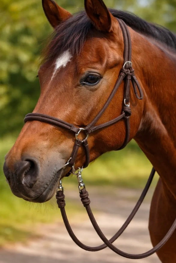 Brown Bitless Bridle With Reins