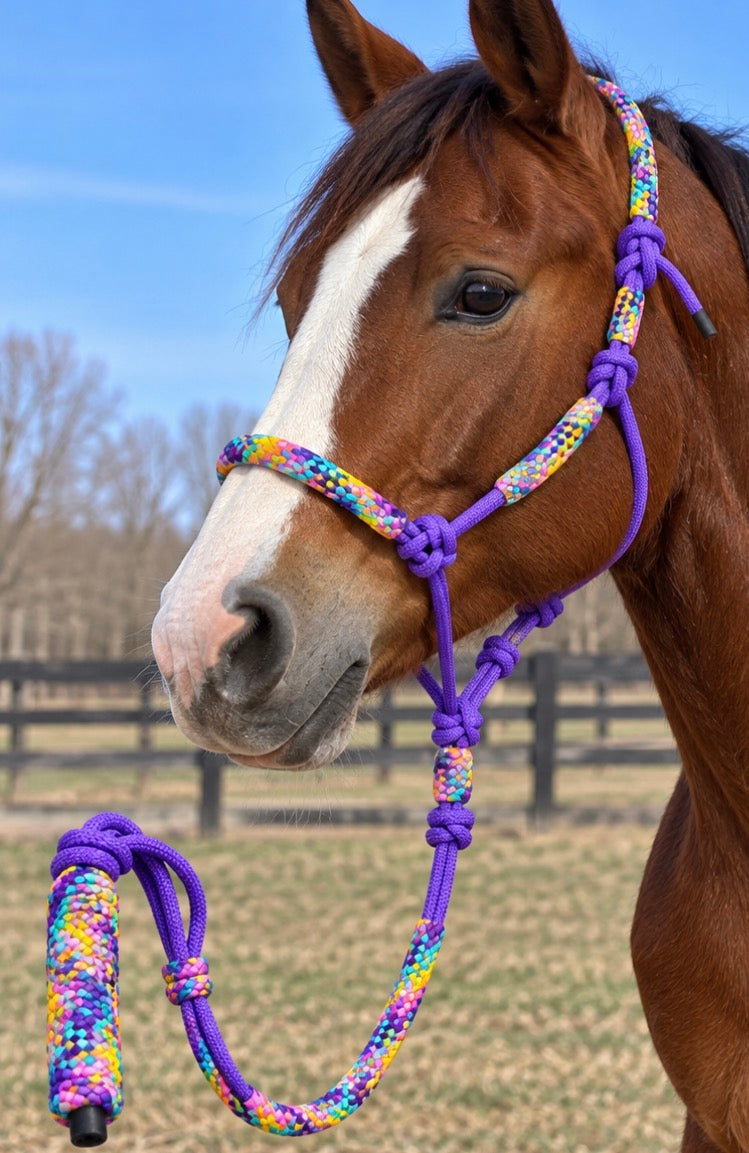 Purple Rope Halter W Lead