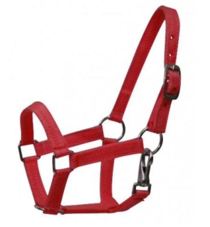 Mini Red Halter
