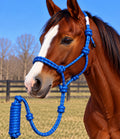 Yearling Mustang Halter W Lead