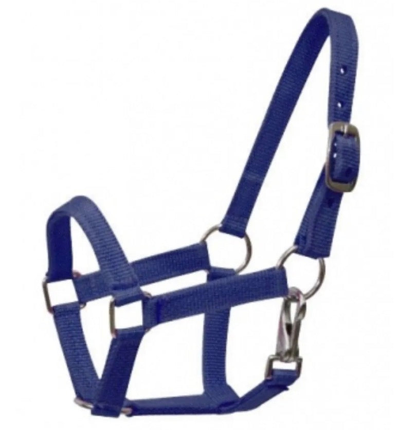 Navy Horse Halter