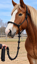 Black DRAFT Rope Halter W Lead