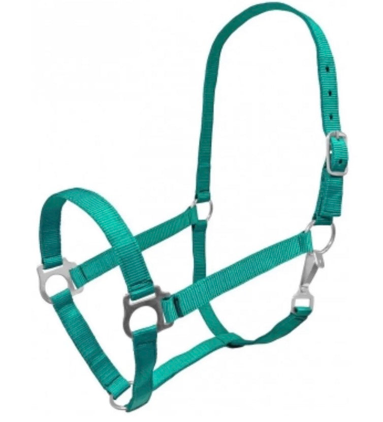 Pony Turquoise Halter