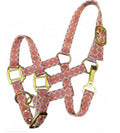Pony Rainbow Halter