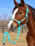 Blue Halter Lead