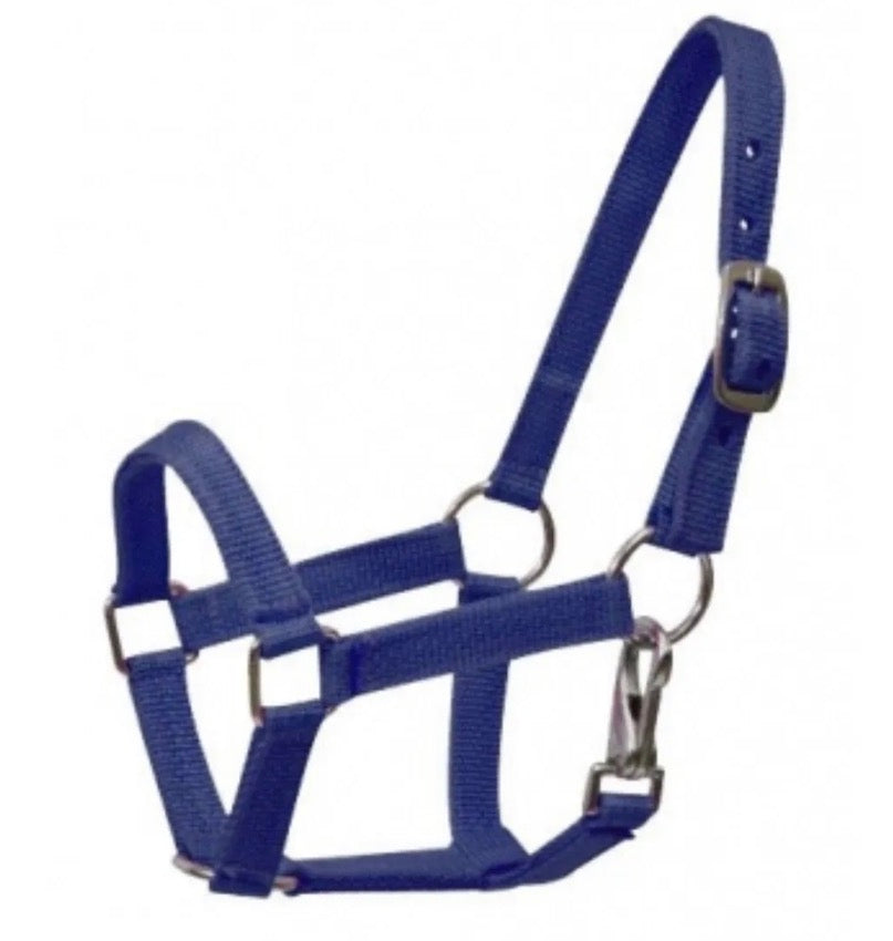 Cob Navy Halter