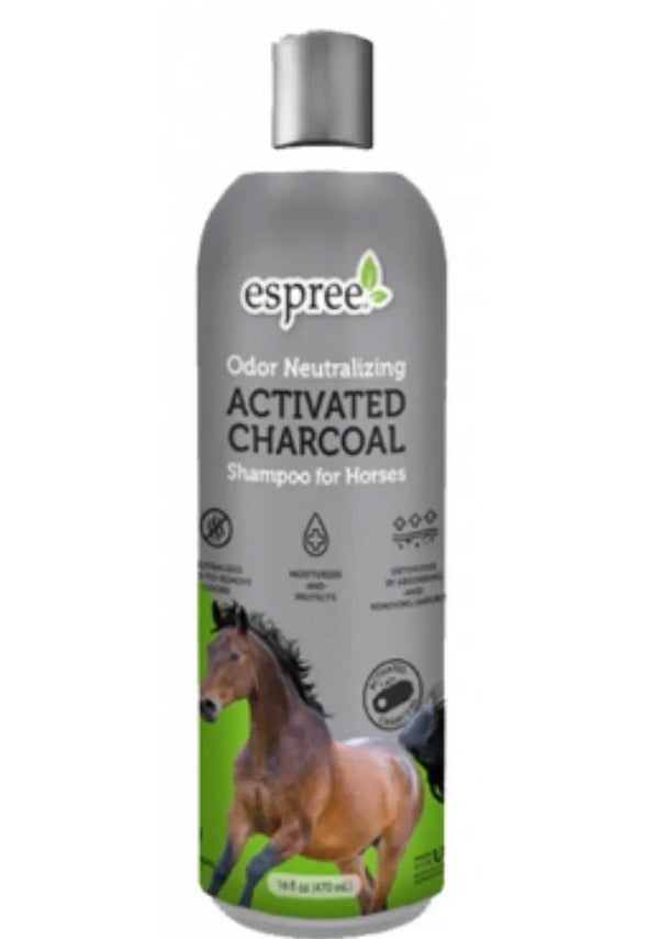 Charcoal Shampoo