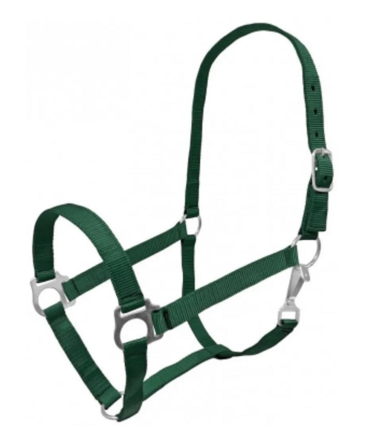 Pony Green Halter