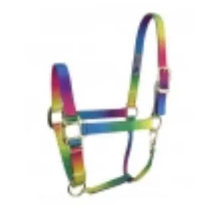 Rainbow Large Horse Halter
