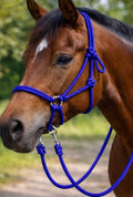 Royal Blue Bitless Bridle W Reins