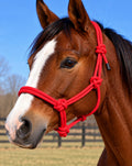 Red Heavy Rope Halter