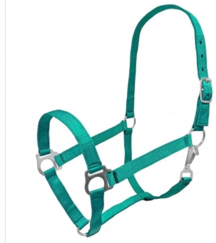 Mini Turquoise Halter