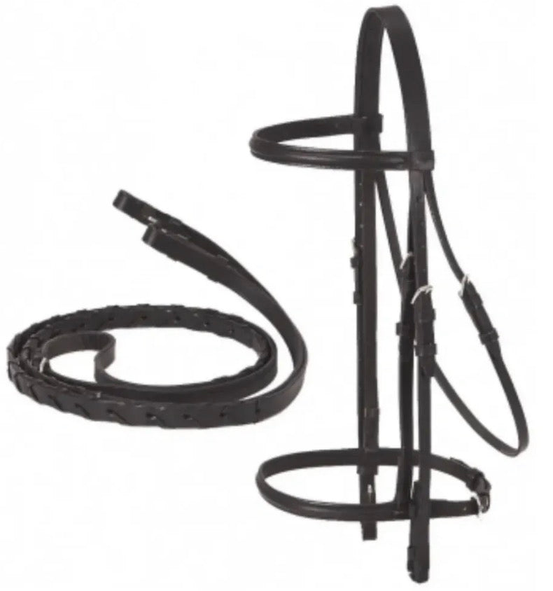 Draft Bridle
