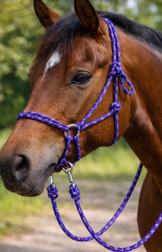 Purple Multi Bitless Bridle W Reins