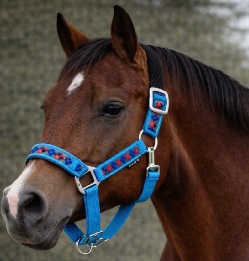 Blue Rhombus Breakaway Halter XL