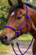 Purple Bitless Bridle W Reins