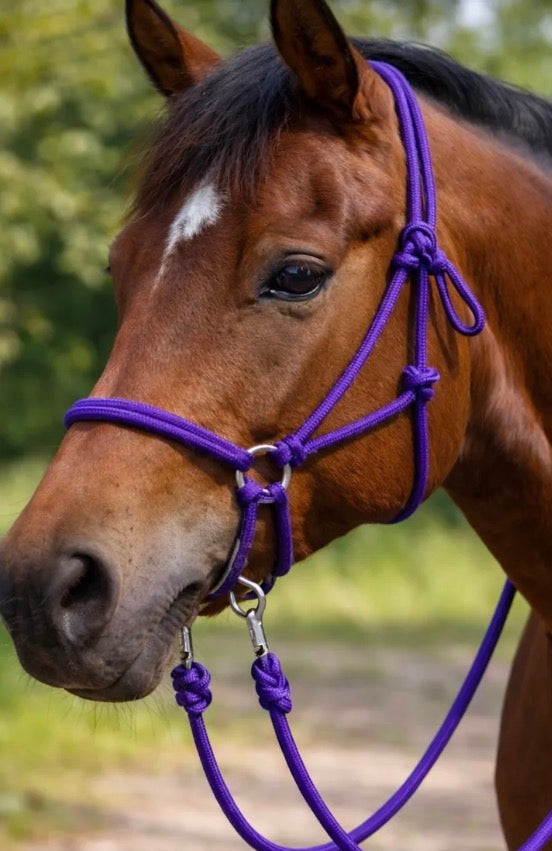 Purple Bitless Bridle W Reins