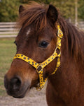 Sunflower Mini Halter