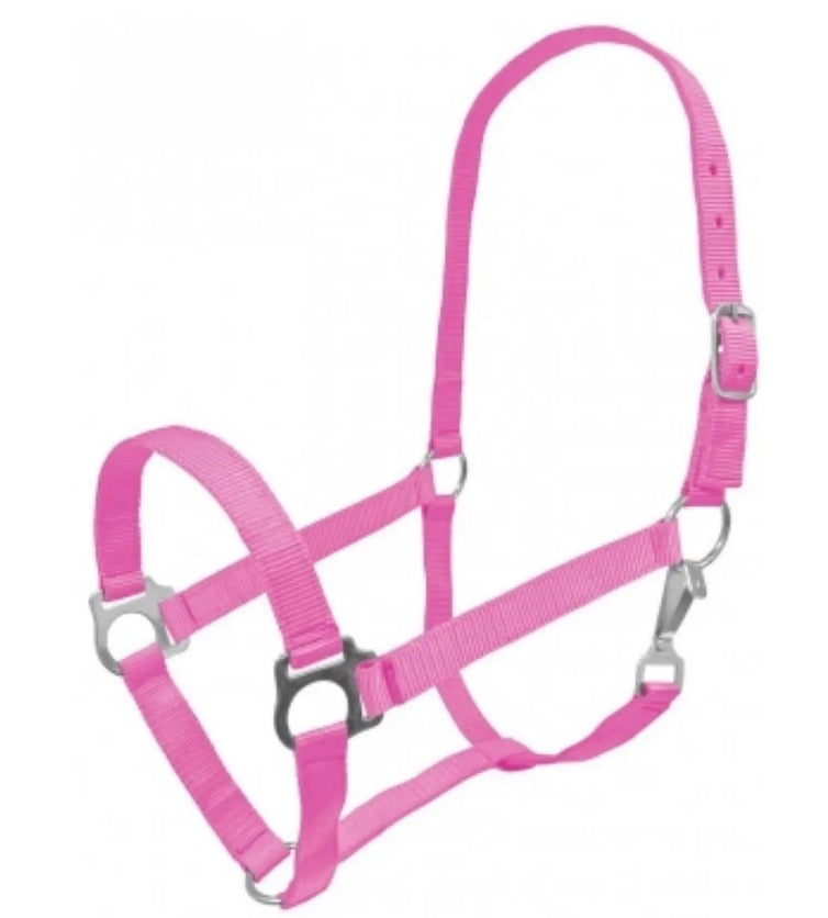 Cob Pink Halter