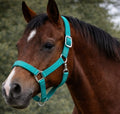 Teal Breakaway Halter