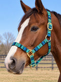 Teal/Blue Halter