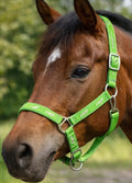 Green Horse Overlay Halter