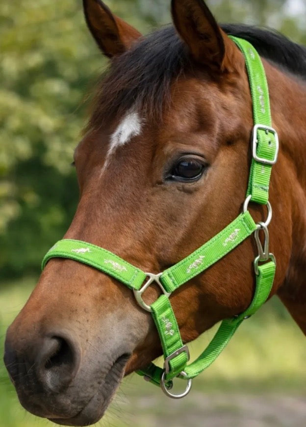 Green Horse Overlay Halter
