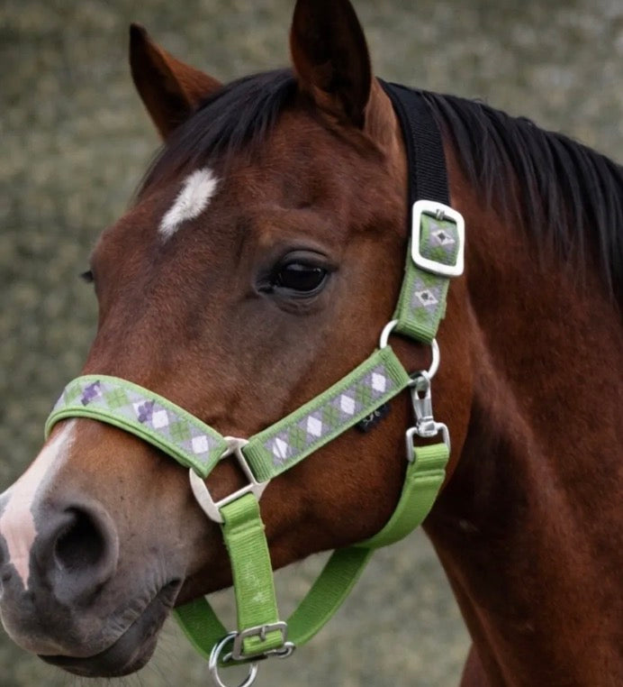Green Rhombus Breakaway Halter XL