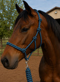 Black/blue rope halter w lead