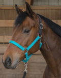 Teal/black halter