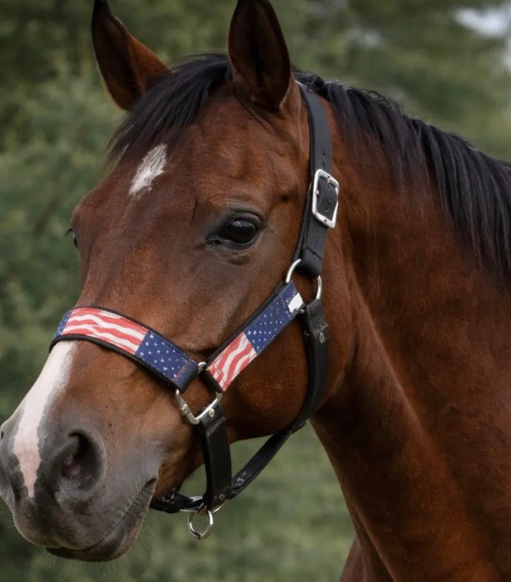 American Flag Halter