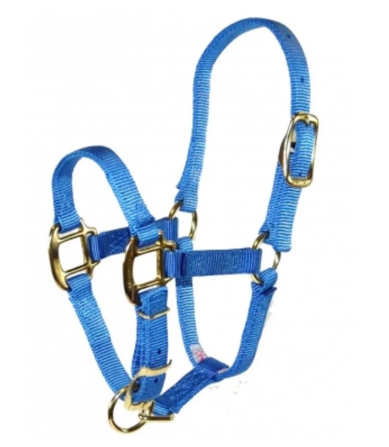 Blue Weanling Halter