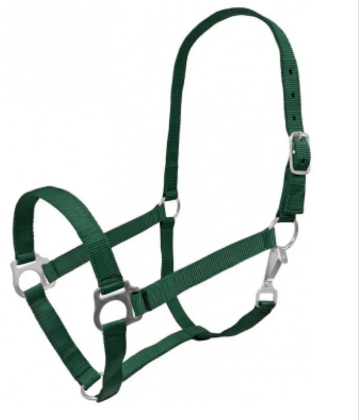 Mini Green Halter