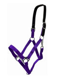 Purple Breakaway Halter